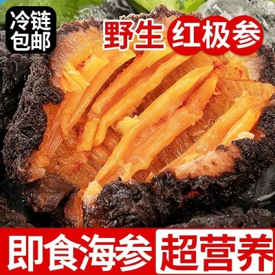红极参 野生红极参淡干海参干货 非养殖淡干红极参 袋装 现货批发图3