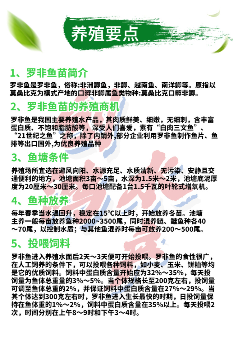 新作详情页2罗非鱼苗-7
