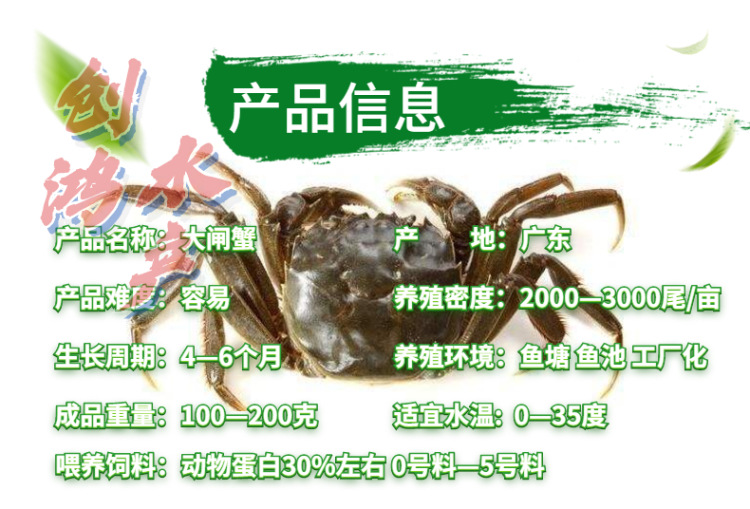 _新作详情页2 大闸蟹苗-4