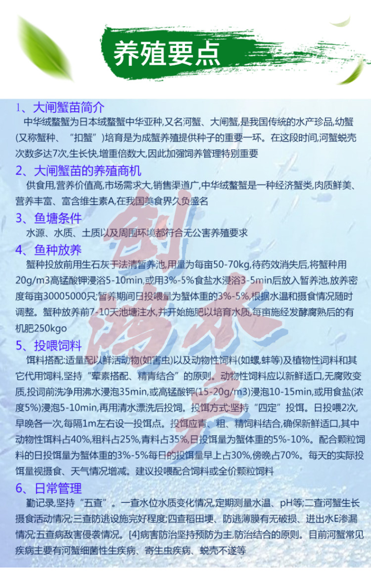 _新作详情页2 大闸蟹苗-6