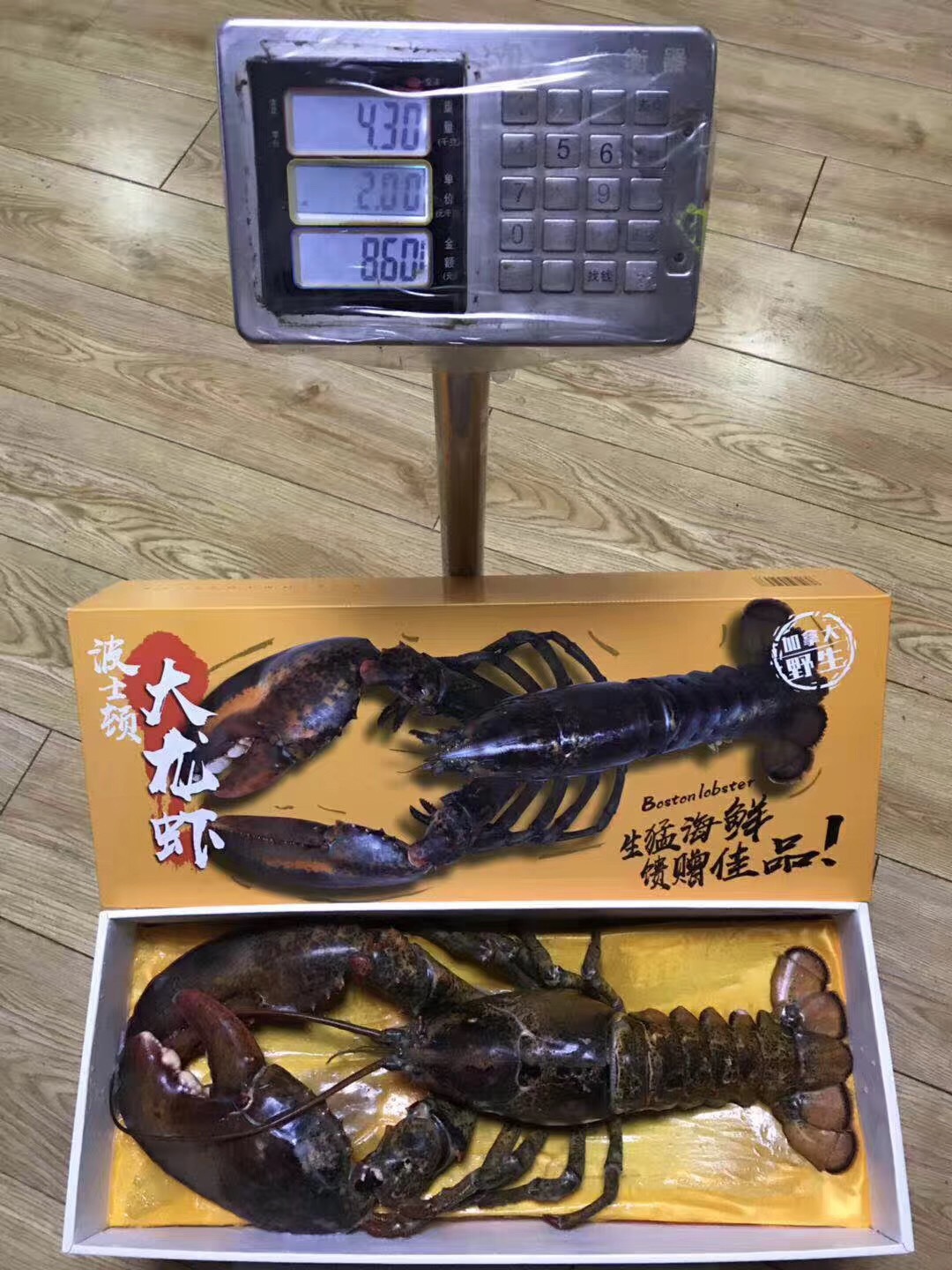 微信图片_20181217094647
