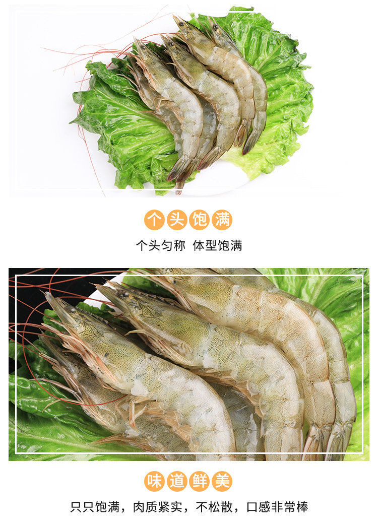 详情页-虾干_02