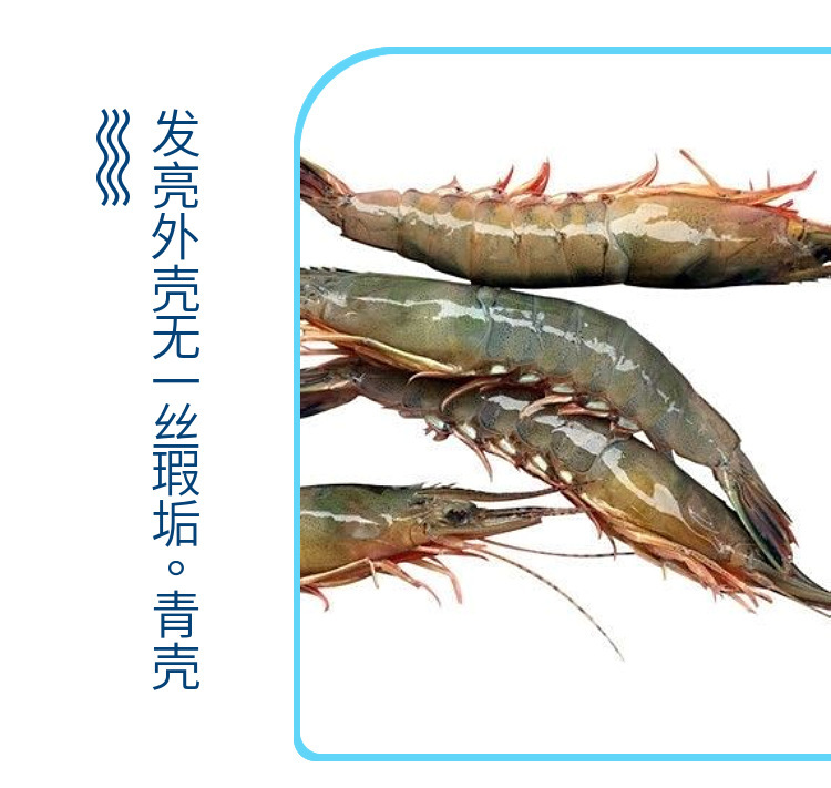 详情-07.jpg