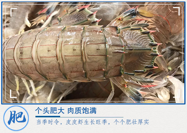 详情-05.jpg