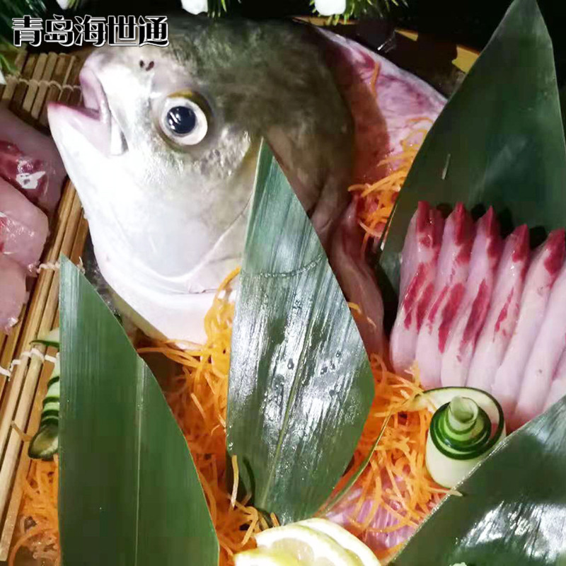 金鲳鱼2.jpg