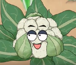 为什么有的花菜那么黄？