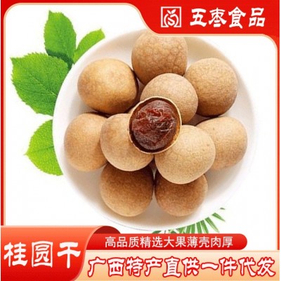 一件代发广西桂圆龙眼干批发直销现货供应特产6A桂圆干农产品零食
