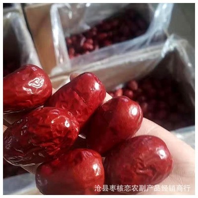 批发新疆和田大枣500g 大红枣煮粥 大个子枣子皮薄肉厚大骏枣零食图2