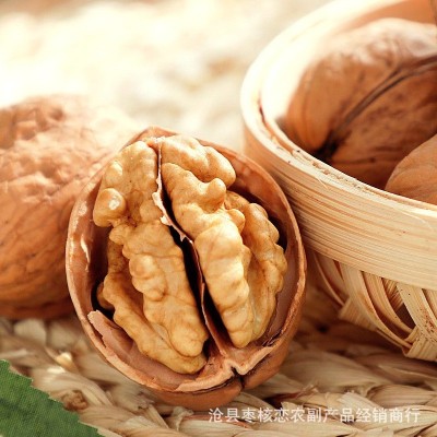 厂家批发185核桃新疆特产纸皮核桃原味桃仁饱满支持散装/袋装图2