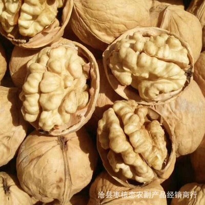 厂家批发185核桃新疆特产纸皮核桃原味桃仁饱满支持散装/袋装图3