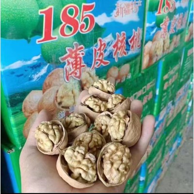 厂家批发185核桃新疆特产纸皮核桃原味桃仁饱满支持散装/袋装