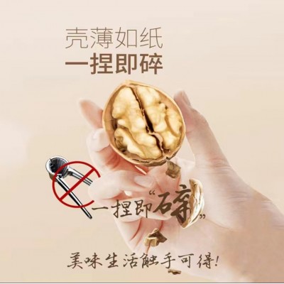 厂家批发185核桃新疆特产纸皮核桃原味桃仁饱满支持散装/袋装图4