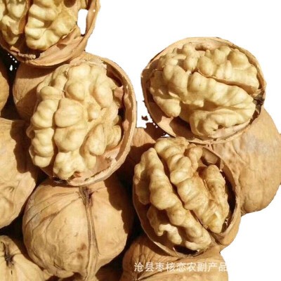 厂家批发185核桃新疆特产纸皮核桃原味桃仁饱满支持散装/袋装图5