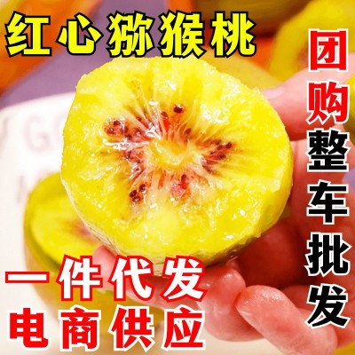 红心猕猴桃 一件代发 四川弥猴桃大果红心奇异果当季新鲜孕妇水果