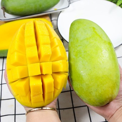 大青芒果 一件代发 青皮大金煌芒凯特大脸芒非甜心水仙芒新鲜水果图2