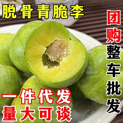 青脆李 一件代发 四川脱骨李青红色蜂糖空心李子五月脆李新鲜水果