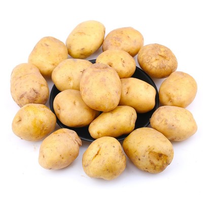 【应季款】恩施小土豆 新鲜现挖土豆迷你蔬菜洋芋黄心土豆代发图4