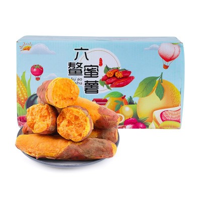 【五折】顺丰六鳌蜜薯 当季新鲜现挖沙地蜜薯地瓜红心红蜜薯代发