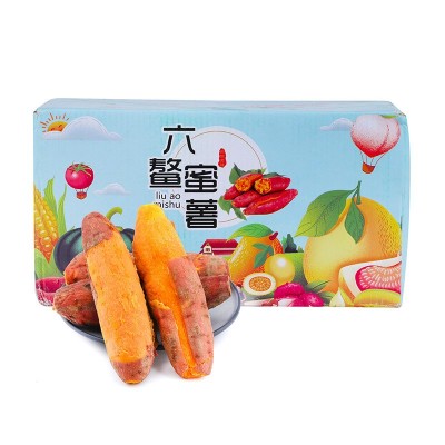 【五折】顺丰六鳌蜜薯 当季新鲜现挖沙地蜜薯地瓜红心红蜜薯代发图3
