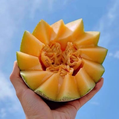 哈密瓜