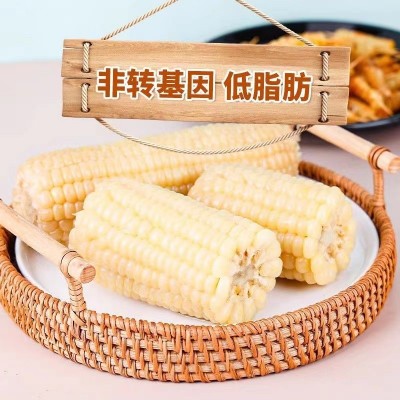 承接代加工白糯玉米东北新鲜糯玉米软糯