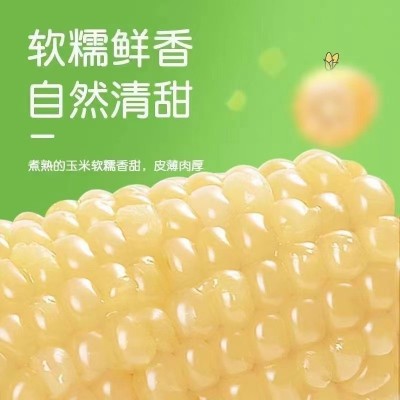 承接代加工白糯玉米东北新鲜糯玉米软糯图5