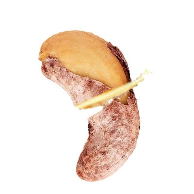 带皮腰果大颗粒散装500克原味盐焗腰果零食支持代发紫衣腰果图5