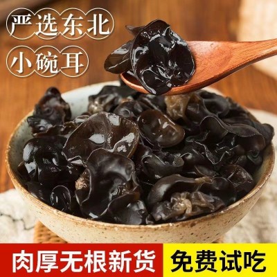 黑木耳