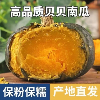 板栗贝贝南瓜