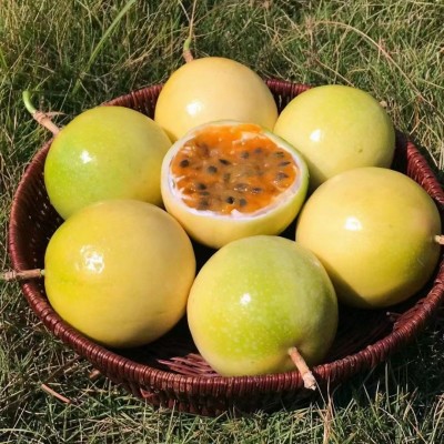【极速发货】广西钦蜜9号黄金百香果1/3/5/9斤大中小新鲜整箱水果图4