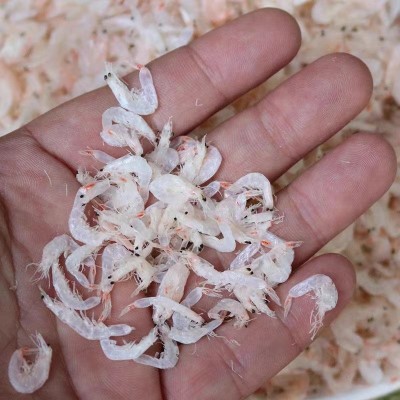 虾皮淡干虾皮海鲜水产干货虾皮厂家供应虾干水产海鲜干货现货图4