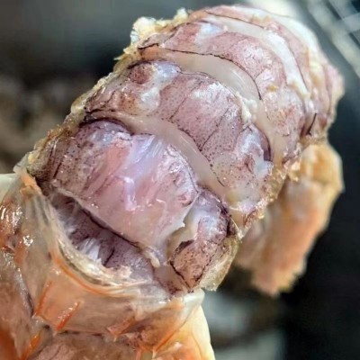 皮皮虾鲜活冷冻大号皮皮虾海鲜大号冷冻皮皮虾海鲜海虾新鲜蒸熟图4