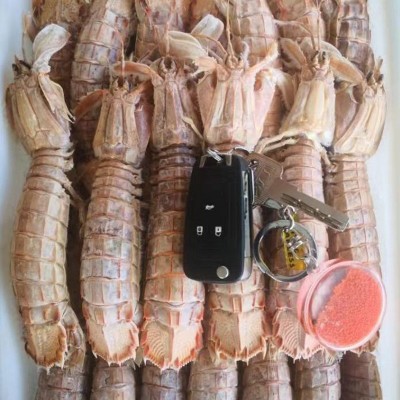 皮皮虾鲜活冷冻大号皮皮虾海鲜大号冷冻皮皮虾海鲜海虾新鲜蒸熟图3