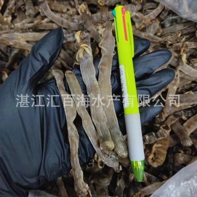 湛江特产黑沙虫干特大350头沙虫干海鲜干货煲汤煮粥大量批发图4