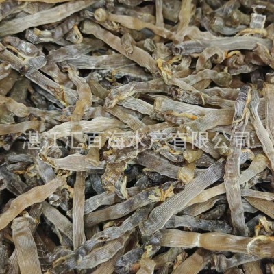 湛江特产黑沙虫干特大350头沙虫干海鲜干货煲汤煮粥大量批发