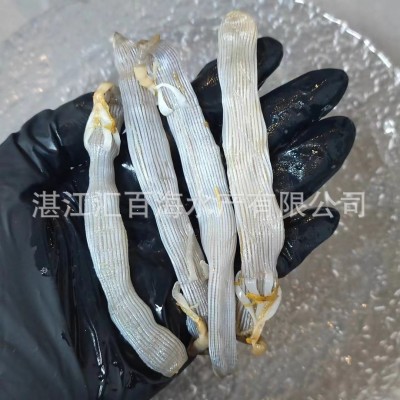 湛江特产黑沙虫干特大350头沙虫干海鲜干货煲汤煮粥大量批发图2