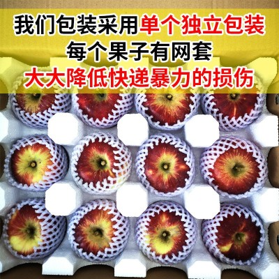 正宗云南昭通丑苹果水果新鲜10斤包邮当季整箱现摘冰糖心苹果甜脆图3