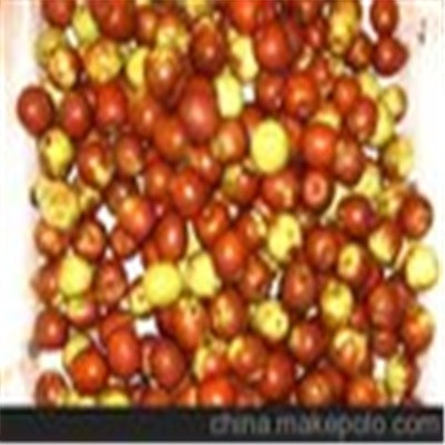 初级农产品 枣品种 蜜枣 醉枣图2