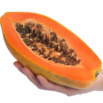海南直发牛奶红心木瓜5/8/9斤整箱冰糖心水果 木瓜 新鲜当季批发图2