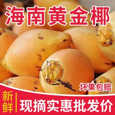 海南万宁黄金椰子现摘现发新鲜水果4/6/9个装整箱一件代发批发图3