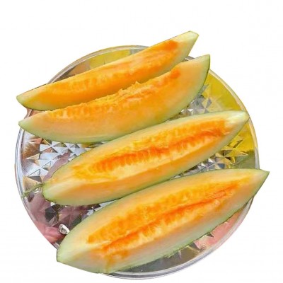 怡森蜜瓜哈密瓜整件4枚17-18斤现货整箱批发图4