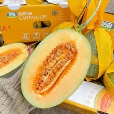 怡森蜜瓜哈密瓜整件4枚17-18斤现货整箱批发图3