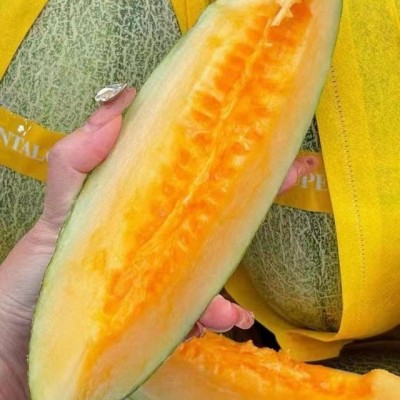 怡森蜜瓜哈密瓜整件4枚17-18斤现货整箱批发图2