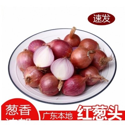 农家自种洋葱新鲜现发紫皮小圆葱头10斤生吃水果蔬菜紫红皮洋葱油