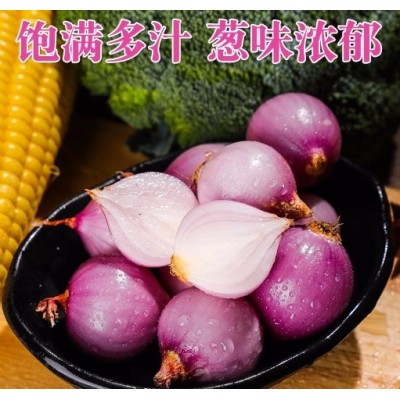 农家自种洋葱新鲜现发紫皮小圆葱头10斤生吃水果蔬菜紫红皮洋葱油图3