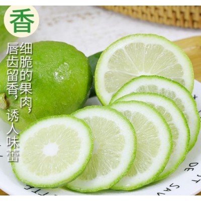 广东香水柠檬5斤正宗一级果奶茶店专用饮品柠檬茶新鲜香水柠檬3斤图4
