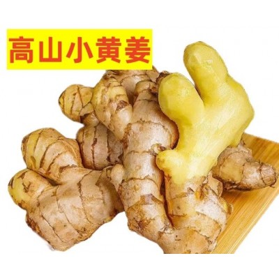 正宗广东农家小黄姜新鲜姜现挖姜生沙地竹丝姜月子姜调味新鲜蔬菜