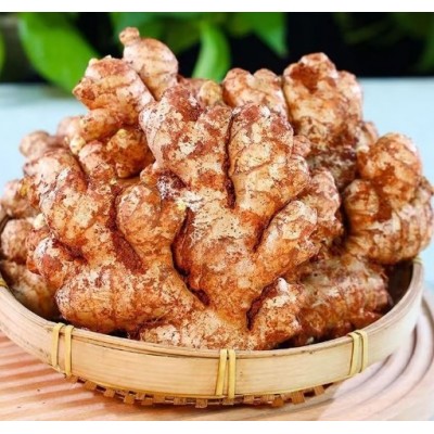正宗广东农家小黄姜新鲜姜现挖姜生沙地竹丝姜月子姜调味新鲜蔬菜图4