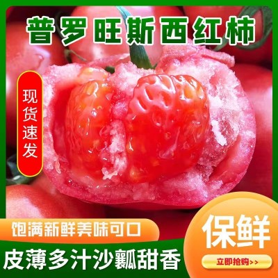 云南露天沙瓤普罗旺斯西红柿草莓心新鲜现摘水果番茄生吃自然熟图2