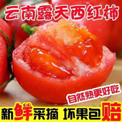 云南露天沙瓤普罗旺斯西红柿草莓心新鲜现摘水果番茄生吃自然熟